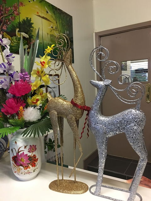 Statesman Motor InnÂ  - Mackay Tourism 5