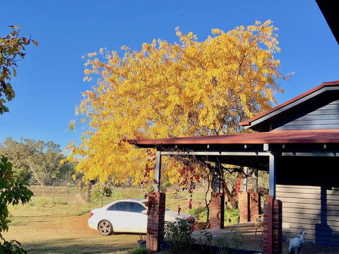Acheron Valley Country Estate - Mackay Tourism 3