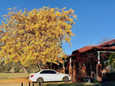 Acheron Valley Country Estate - Mackay Tourism 6