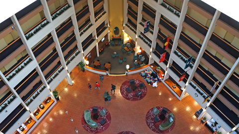 Rydges Sydney Harbour - Mackay Tourism 5