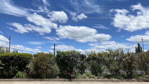 Sapphire City Motor Inn, Inverell - Mackay Tourism 3