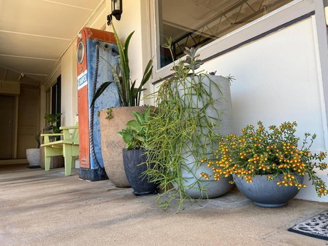 Ben Hall Motor Inn - Mackay Tourism 5