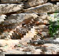 Jenolan Caves House - Mackay Tourism