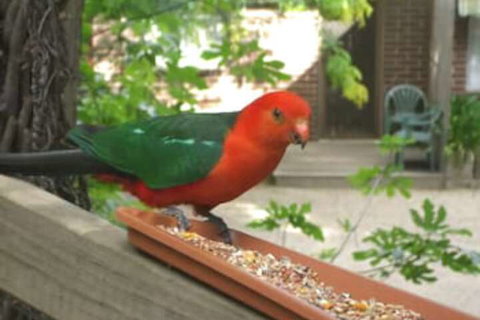 Restaway Holiday Units - Mackay Tourism 1