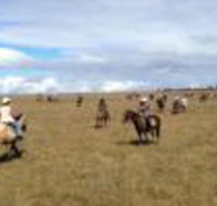 Susan River Homestead - Mackay Tourism