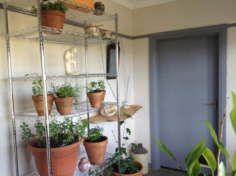Springmead B & B - Mackay Tourism 1