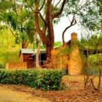 Deans Marsh VIC Mackay Tourism