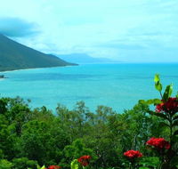 Aquatica Palm Cove - Mackay Tourism