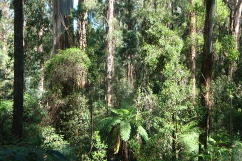 SIGNAL BOX Short Stay - Mackay Tourism 3