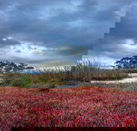 Saintys Creek Cottage - Mackay Tourism