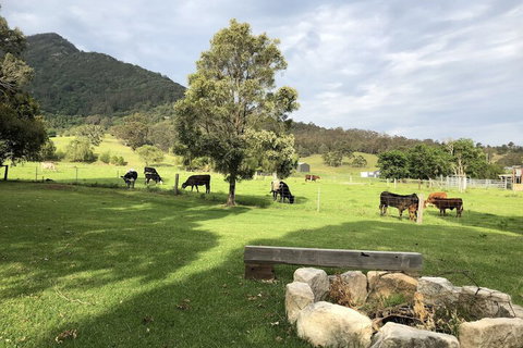 ARCADIA - The Barn Cottage & Rosehill Cottage - Mackay Tourism 3