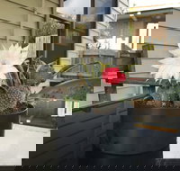 Port Campbell Guesthouse  Flash Packers - Mackay Tourism