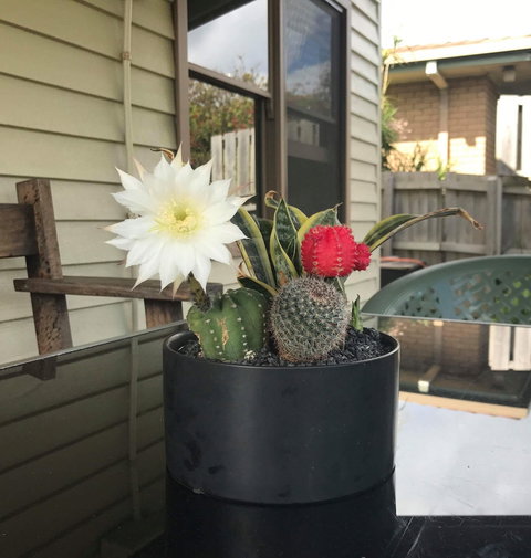 Port Campbell Guesthouse & Flash Packers - Mackay Tourism 0