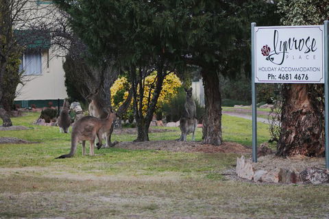 Lynrose Place - Mackay Tourism 7