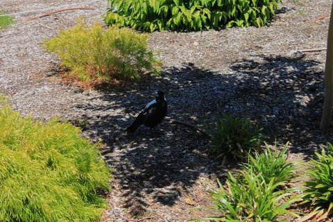 Duxton Coach House - Mackay Tourism 2