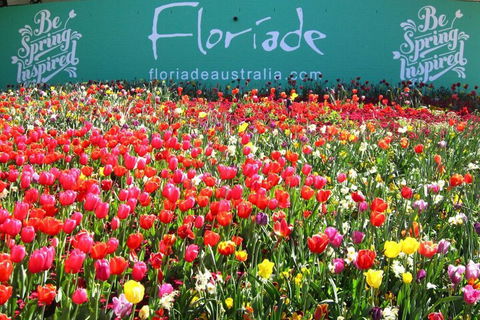Ivy & Roses Boutique Apartments - Mackay Tourism 3