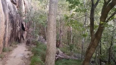 Shambhala Retreat Magnetic Island Cottages - Mackay Tourism 5