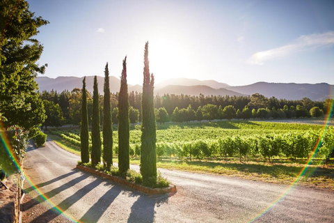 Feathertop Winery - Mackay Tourism 5