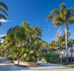 Mollymook Caravan Park - Mackay Tourism