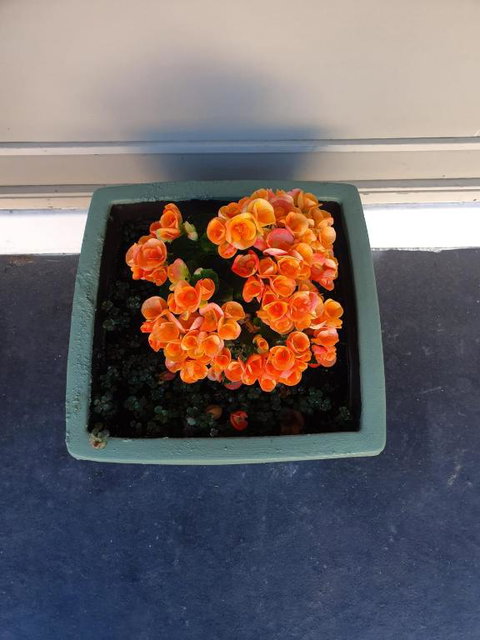 Parkside Motel Morwell - Mackay Tourism 6