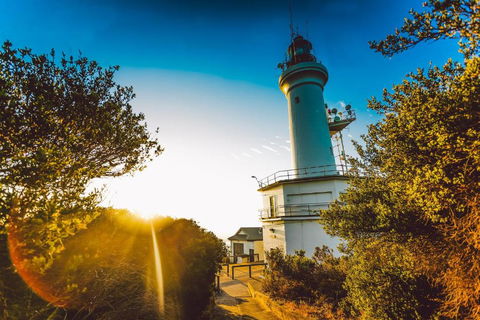Abaleen House - Mackay Tourism 5