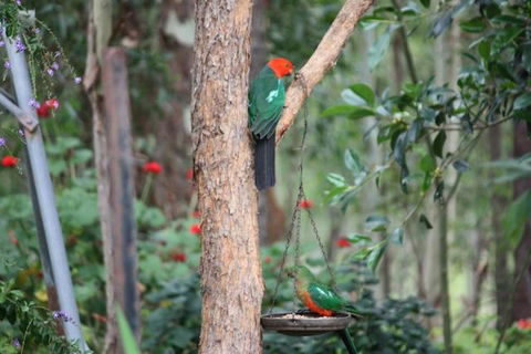 Twilight Grove Farm - Mackay Tourism 3