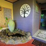 Moregatta QLD Mackay Tourism