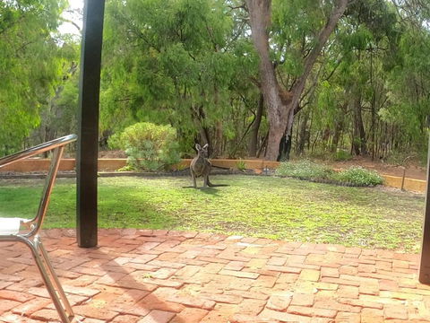 Yallingup Pet Friendly Bush Retreat - Mackay Tourism 5