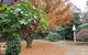 Villa DAmour - thumb 2