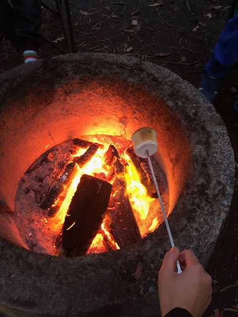 WA Wilderness - Mackay Tourism 1