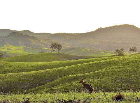 Ketchup's Bank Glamping - Mackay Tourism 0