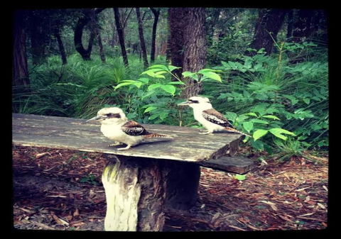 Getaways At Byfield - Mackay Tourism 1
