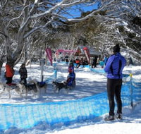 Cloud 9 Alpine Lodge - Mackay Tourism