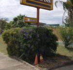 Golden West Motor Inn - Mackay Tourism