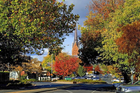 The Sampson - Orange - Mackay Tourism 7