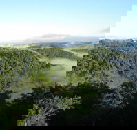 Montville Holiday House - Mackay Tourism