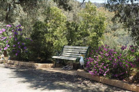 Wild Cherry Bed & Breakfast - Mackay Tourism 3