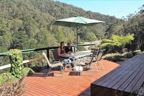 Wild Cherry Bed & Breakfast - Mackay Tourism 4