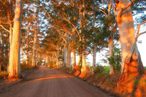 Innisfree Mountain Retreat - Mackay Tourism 0