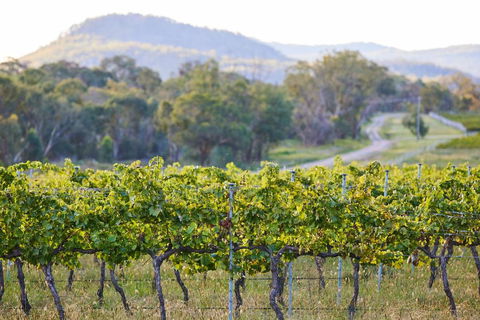 James Farmhouse - Mackay Tourism 6