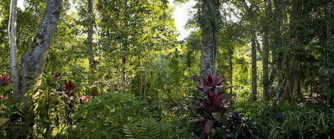 Sharlynn By The River - Mackay Tourism 5