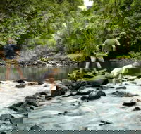 Sharlynn by the River - Mackay Tourism