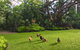 Eden Rest - thumb 1