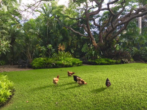Eden Rest - Mackay Tourism 1