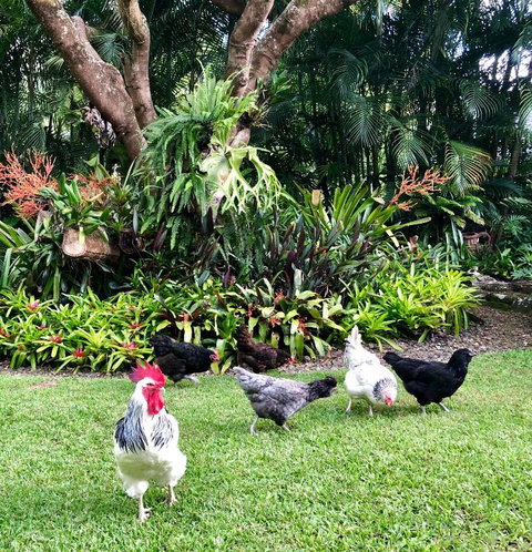 Eden Rest - Mackay Tourism 3