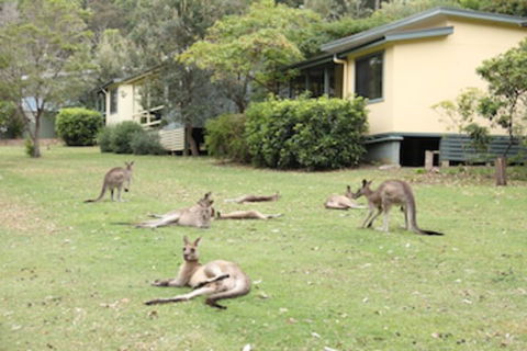 Depot Beach Cabins - Mackay Tourism 0