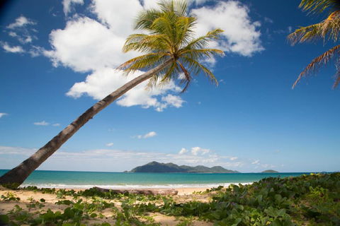 7 McNamara Wongaling Beach - Mackay Tourism 5