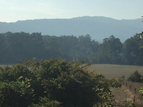 Oaktree Guest House - Mackay Tourism 6