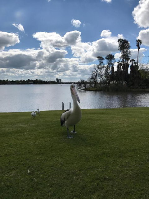 Waterside Holiday Rentals Unit 31 - Mackay Tourism 2