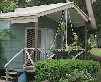 BIG4 Aussie Outback Oasis Holiday Park - Mackay Tourism 0